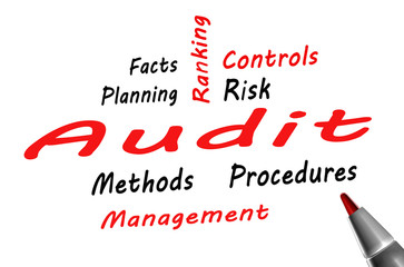 audit