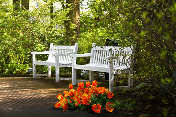 White benches in park in spring
