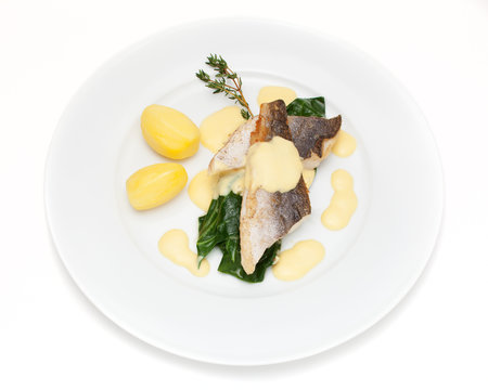 Seehechtfilet auf Mangoldgem&uuml;se