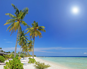 Tropical paradise in Maldives island