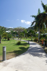 Jardin tropical à Saint Martin