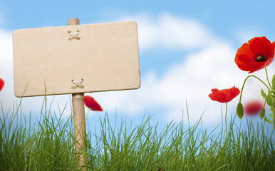 blank wooden sign, grass and poppies