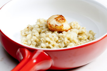 fried Saint Jacques mollusc with pearl barley risotto
