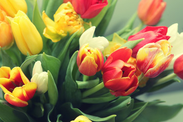 bouquet of the fresh tulips