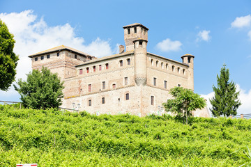 Fototapeta na wymiar Grinzane Cavour Castle with vineyard, Piedmont, Italy
