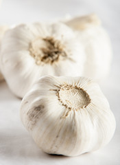 garlic close up white background