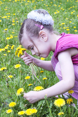 Young girl in a field of dandelions