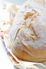Frisch gebackenes italienisches Weißbrot
