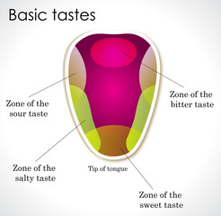 Human tongue. One of the traditional five senses. Taste.