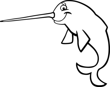 Cartoon Narwhal For Coloring Book