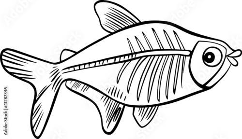 "cartoon x-ray fish for coloring book" Stock image and royalty-free ...