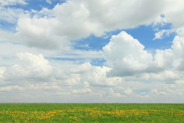 Naklejka premium White Clouds over a Meadow