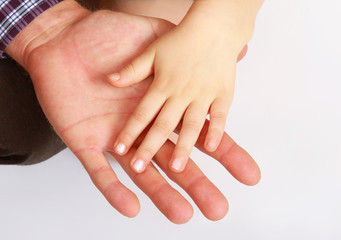 Naklejka premium hand of the child in a man's hand