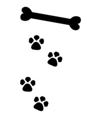 dog paws leading to bone