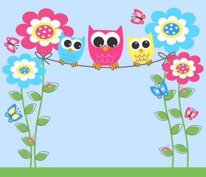 three colorful sweet owls