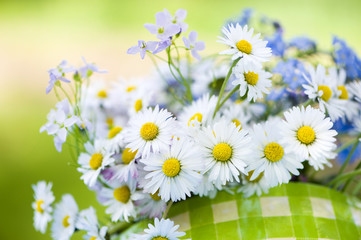 Gänseblümchen © DoraZett