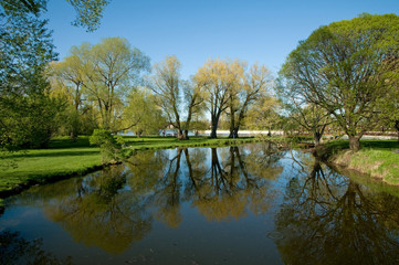 Fototapeta na wymiar Arboretum with lake