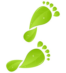 Green Footprint