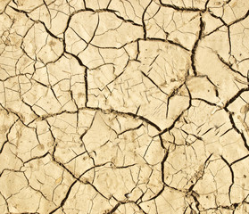 Cracked ground background