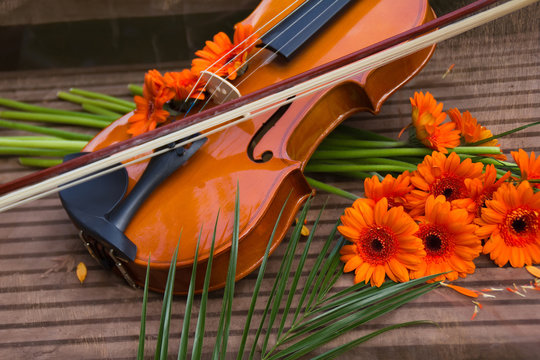 Violin and flowers