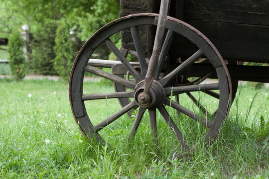 Vintage wooden wheel in green grass