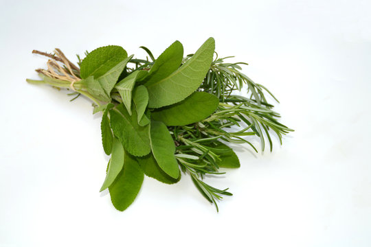 Salbei mit Rosmarin