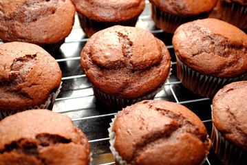Chocolate Cupcakes on a Cooling Rack