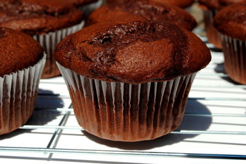 Cooling Fresh Baked Cupcakes