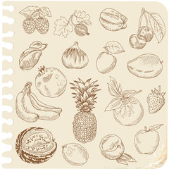 Set of Doodle Fruits - for scrapbook or design - hand drawn