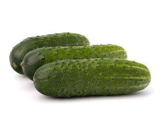 Cucumber vegetable