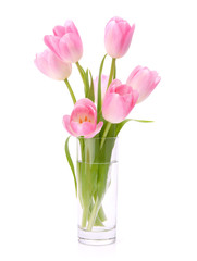 Pink tulips bouquet in vase isolated on white background