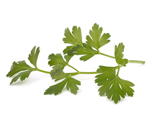 parsley