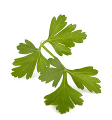 parsley