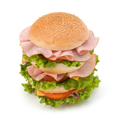 Junk food hamburger