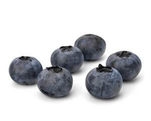 Bilberries or whortleberries cutout