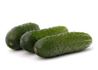 Cucumber vegetable