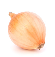 Onion