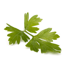 parsley