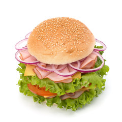 Junk food hamburger