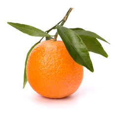tangerine i