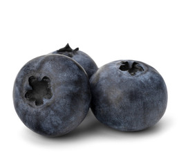 Obraz premium Bilberries or whortleberries cutout