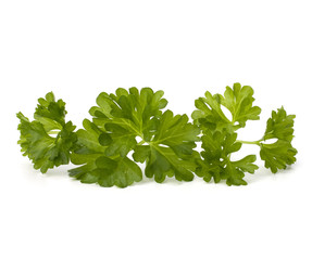 parsley