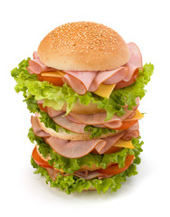Junk food hamburger