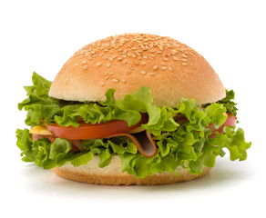 Junk food hamburger
