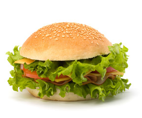 Junk food hamburger