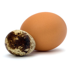 quail and hen's eggs
