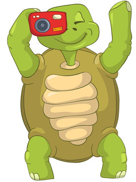 Funny Turtle. Tourist - Photographer.
