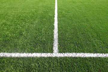 Obraz premium soccer field grass