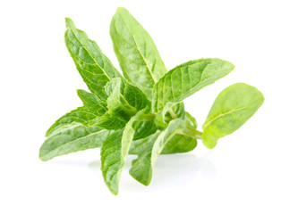 Fototapeta premium fresh green leaf of peppermint isolated on white background