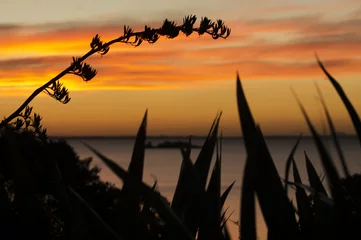 Wandcirkels tuinposter Daytime - Sunrise and Sunset © Rafael Ben-Ari
